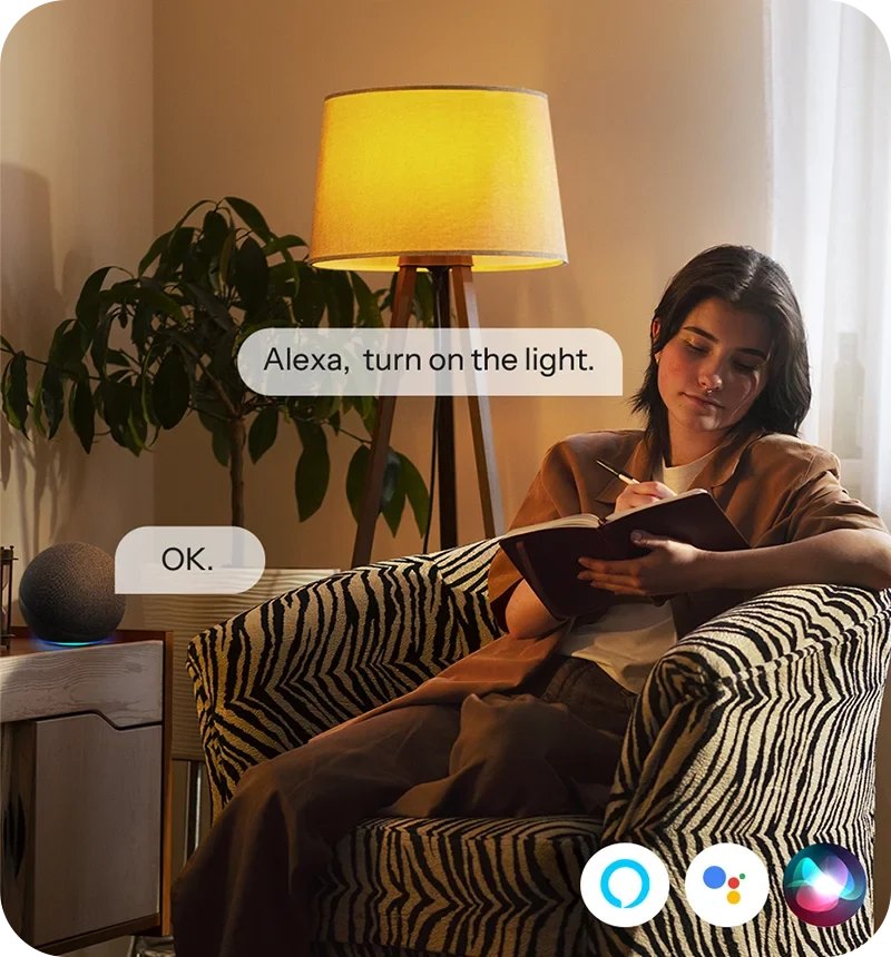SONOFF Basic Gen5 Matter Wi-Fi Smart Switch BASIC-1GS – Hands-free, hassle-free