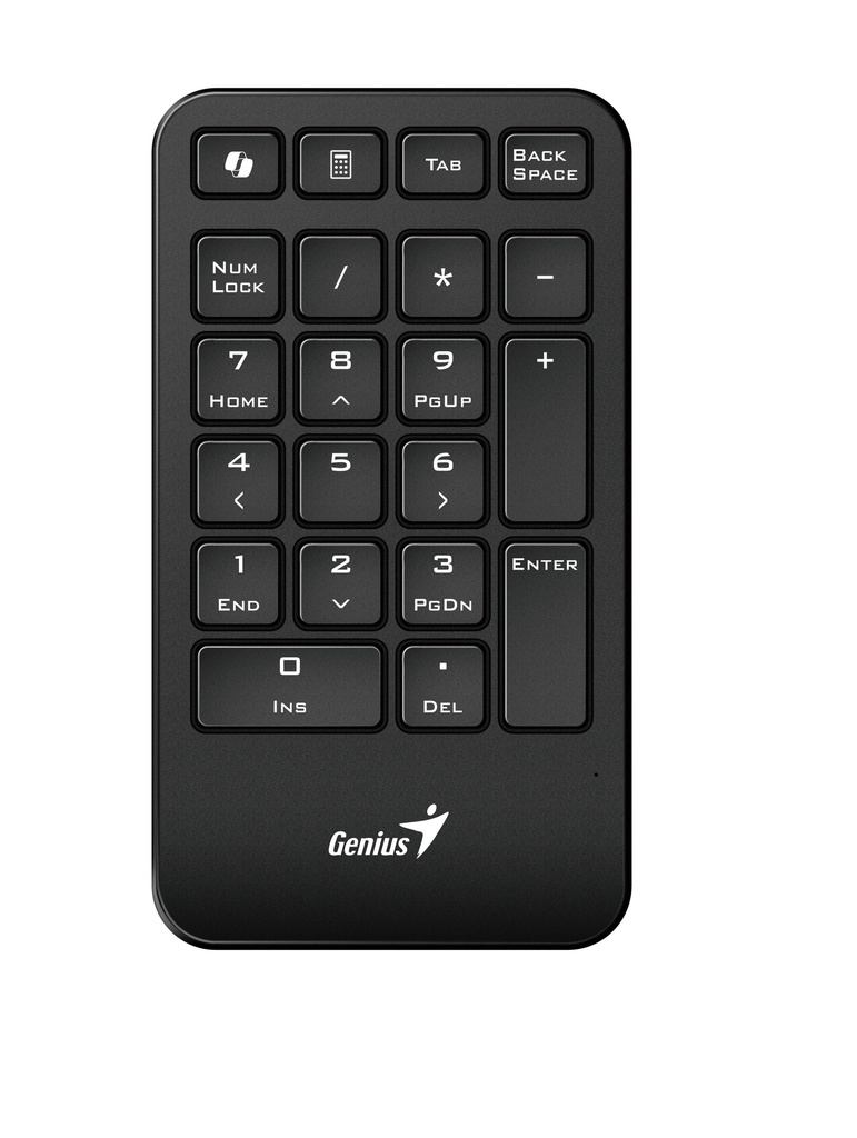 Genius Keyboard Numeric Pad Wireless AI w/Palm Rest NumPad 1000