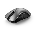 Genius Wireless Silent AI Ergonomic Mouse 8100S with Thumb & Finger Rest Silver