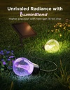 Govee Outdoor Smart RGBICW With Solar Charge 10m (Solar String Lights)