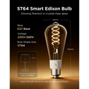 Govee Bulb Ceiling E27 Edison ST64 Smart LED 500 Lumens Edison Bulb R14C0CC1