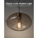 Govee Bulb Ceiling E27 Edison ST64 Smart LED 500 Lumens Edison Bulb R14C0CC1