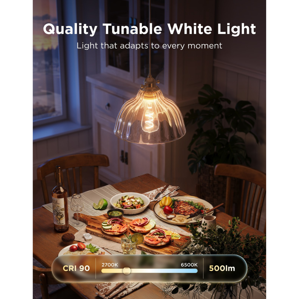 Govee Bulb Ceiling E27 Edison ST64 Smart LED 500 Lumens Edison Bulb R14C0CC1