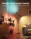 Govee Lamp Floor Smart RGBICWW (Tree Floor Lamp)