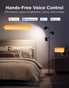 Govee Lamp Floor Smart RGBICWW (Tree Floor Lamp)