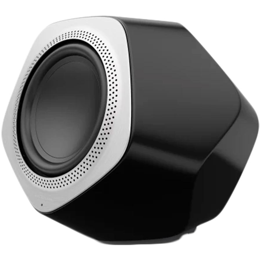 [1620522] Beolab 19 Speaker Black (Frame Natural Alu)