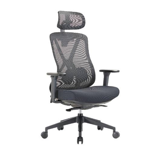 [30278] Lumivida Office Chair Ergonomic Mesh Lumbar Support Adjustable Seat/Armrest OCH01-5 Black