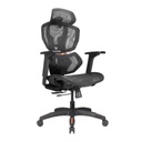 Lumivida Gaming/Office Chair Ergonomic Mesh Lumbar Support Adjustable Seat/Armrest CH09-8 Black